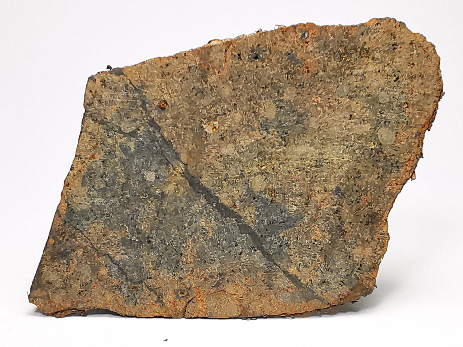 Météorite Chondrite ordinaire L, Sahara Occidental