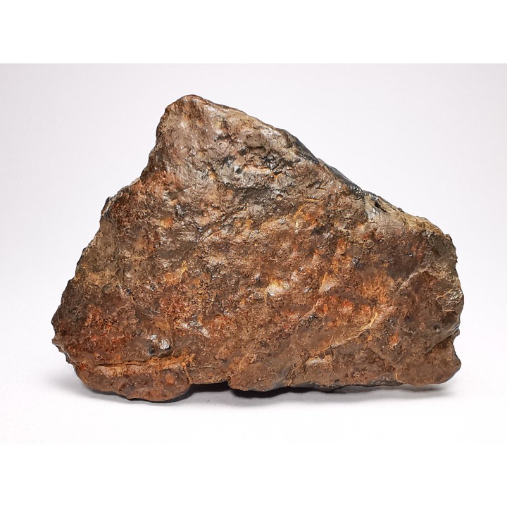 Meteorite Ordinary Chondrite L6, Western Sahara