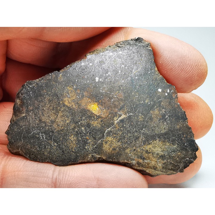 Meteorite Ordinary Chondrite L6, Western Sahara