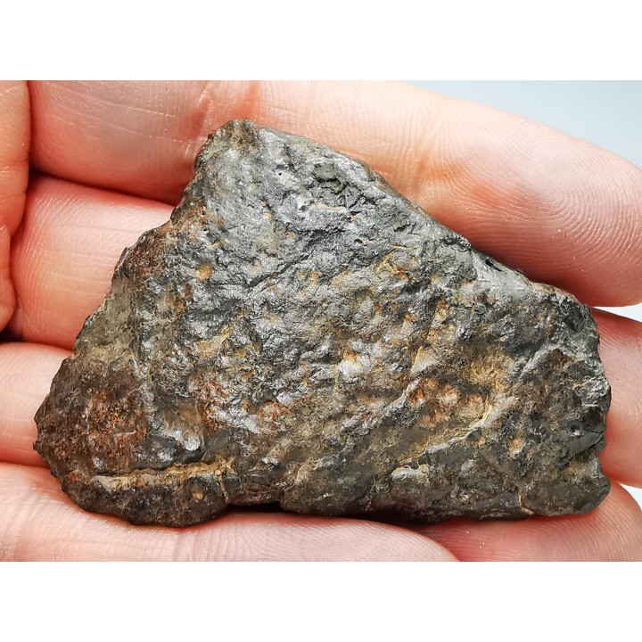 Meteorite Ordinary Chondrite L6, Western Sahara