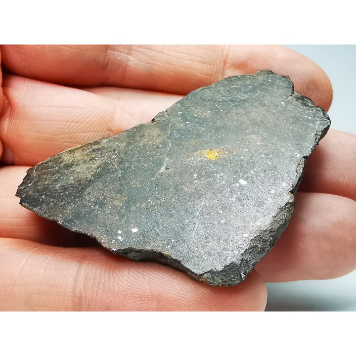 Meteorite Ordinary Chondrite L6, Western Sahara