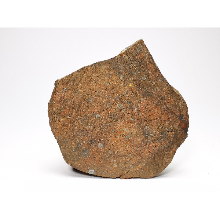 Meteorite Ordinary Chondrite L3, Western Sahara