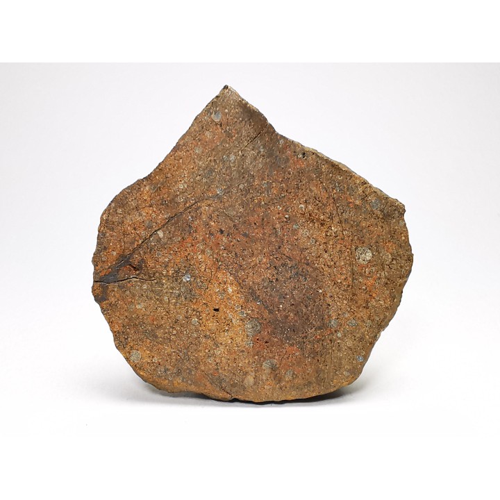 Météorite Chondrite ordinaire L3, Sahara Occidental