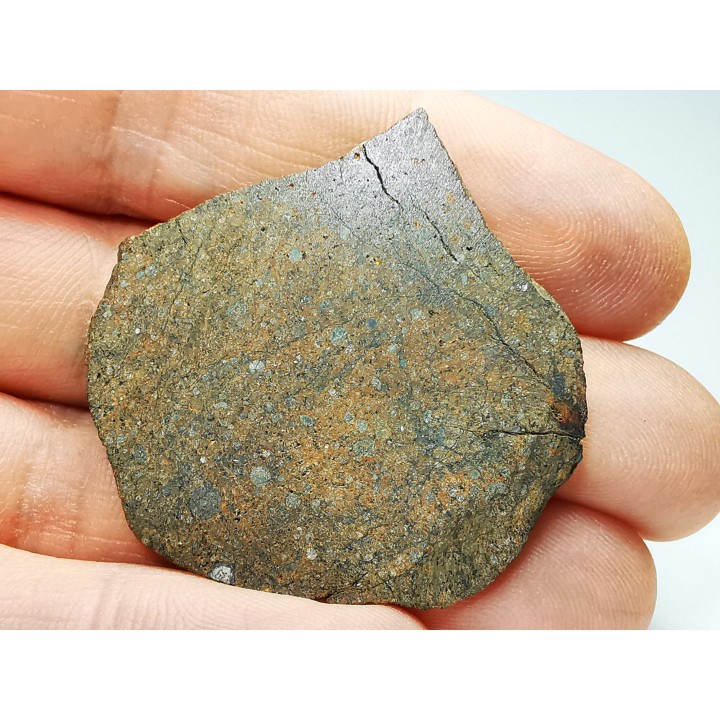 Meteorite Ordinary Chondrite L3, Western Sahara