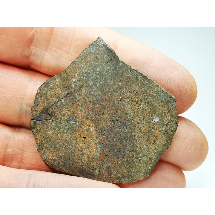 Meteorite Ordinary Chondrite L3, Western Sahara