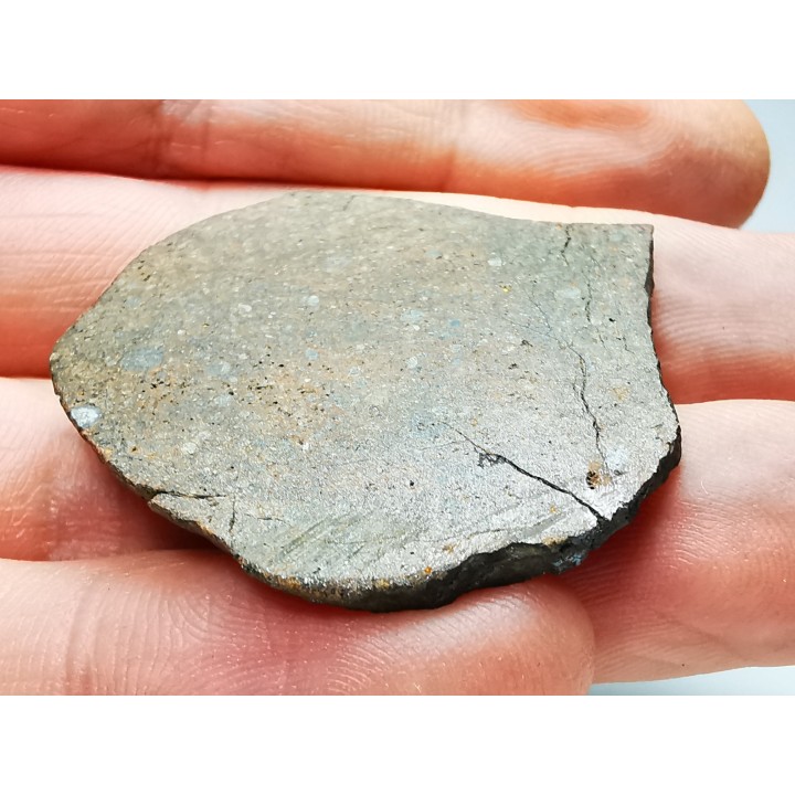 Meteorite Ordinary Chondrite L3, Western Sahara