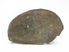 Météorite Chondrite ordinaire L3, Sahara Occidental