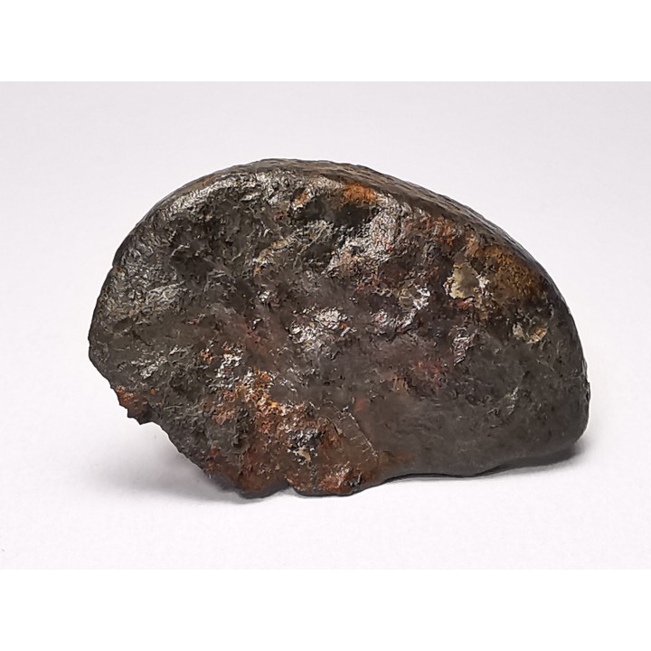 Météorite Chondrite ordinaire L3, Sahara Occidental