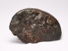 Meteorite Ordinary Chondrite L3, Western Sahara