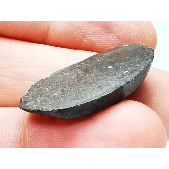 Meteorite Ordinary Chondrite L3, Western Sahara