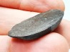 Meteorite Ordinary Chondrite L3, Western Sahara