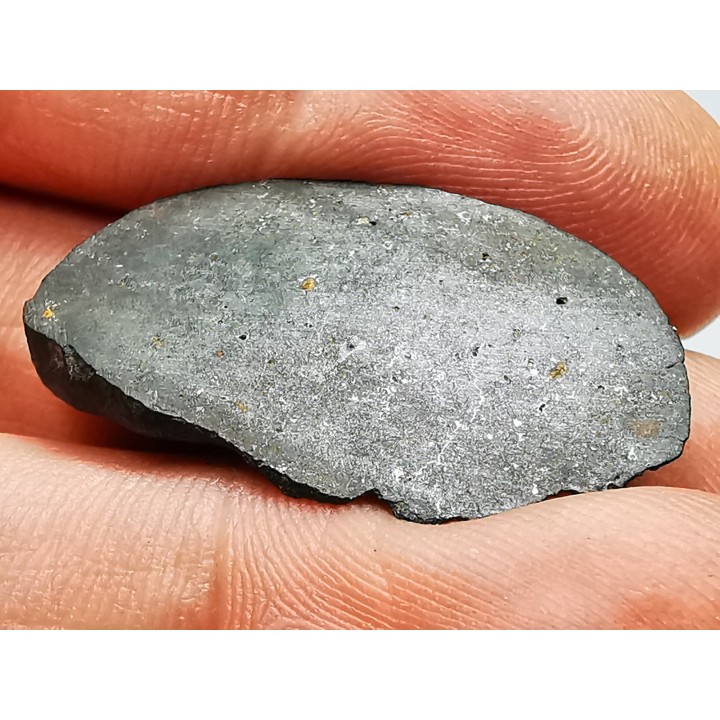 Météorite Chondrite ordinaire L3, Sahara Occidental