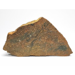 Meteorite Ordinary Chondrite H, Western Sahara