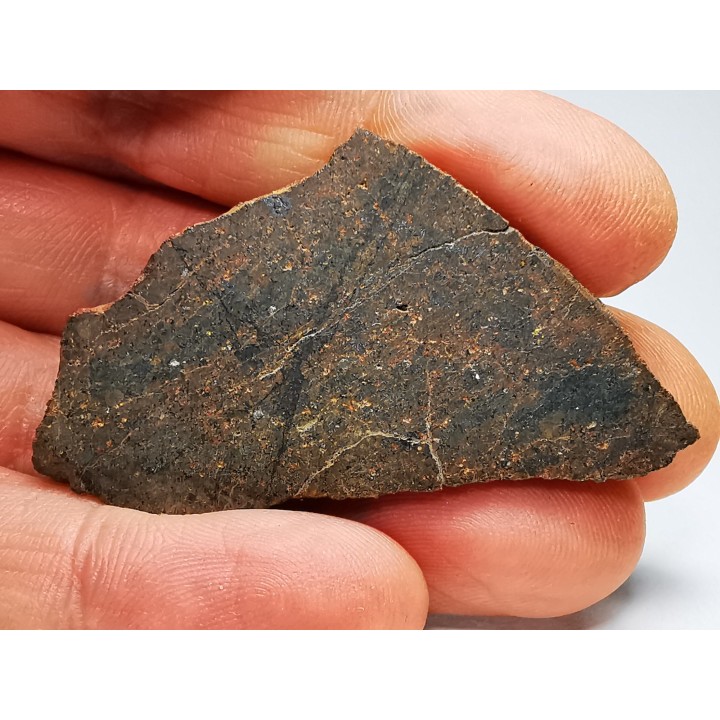 Météorite Chondrite ordinaire H, Sahara Occidental