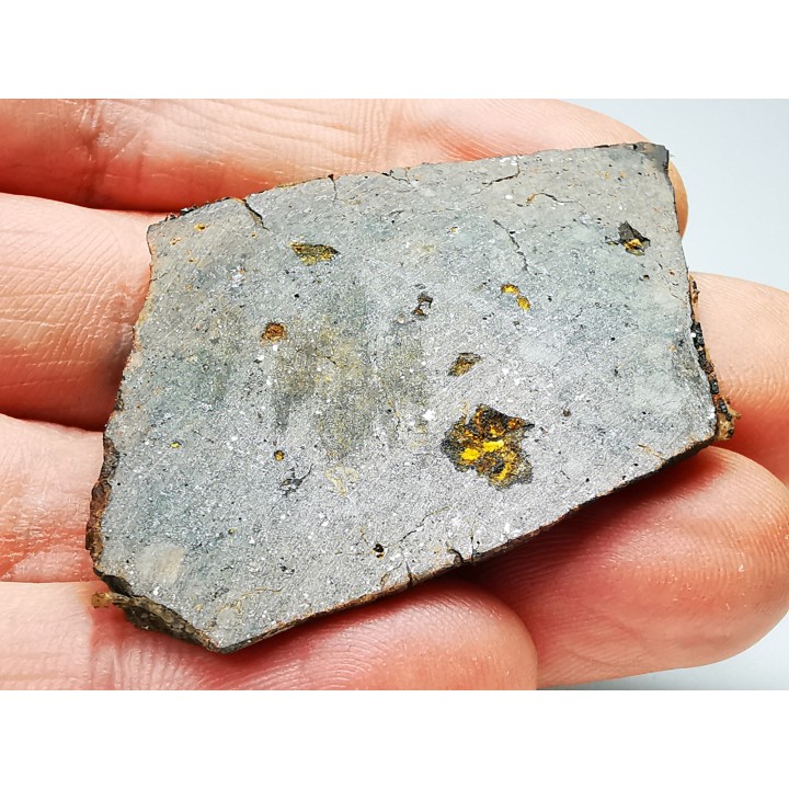Meteorite Ordinary Chondrite, Western Sahara