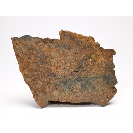 Meteorite Ordinary Chondrite, Western Sahara