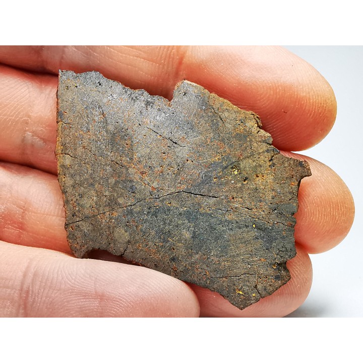Météorite Chondrite ordinaire, Sahara Occidental