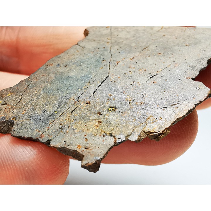 Météorite Chondrite ordinaire, Sahara Occidental