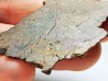Meteorite Ordinary Chondrite, Western Sahara