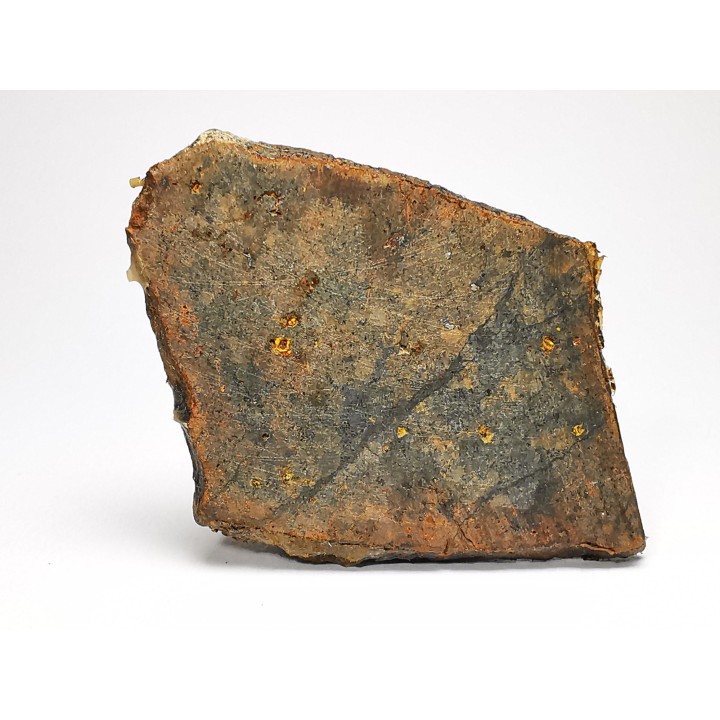 Meteorite Ordinary Chondrite, Western Sahara