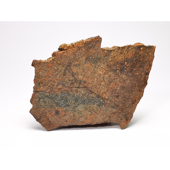 Météorite Chondrite ordinaire, Sahara Occidental