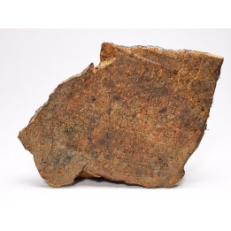 Météorite Chondrite ordinaire H, Sahara Occidental