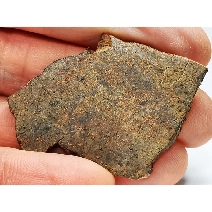Meteorite Ordinary Chondrite H, Western Sahara