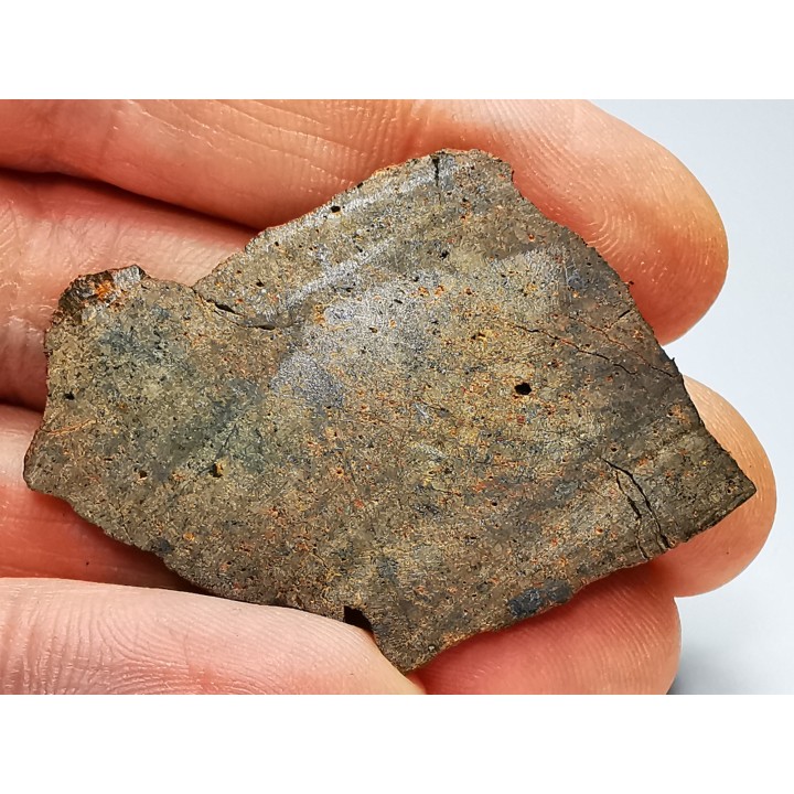 Meteorite Ordinary Chondrite H, Western Sahara