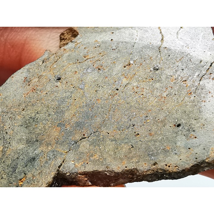 Météorite Chondrite ordinaire H, Sahara Occidental