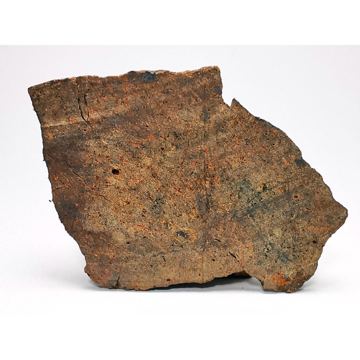 Météorite Chondrite ordinaire H, Sahara Occidental