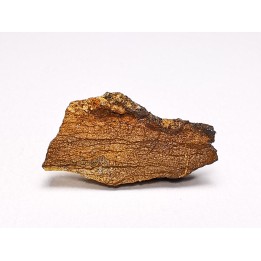 Météorite Chondrite Enstatite, Al Haggounia, Sahara Occidental