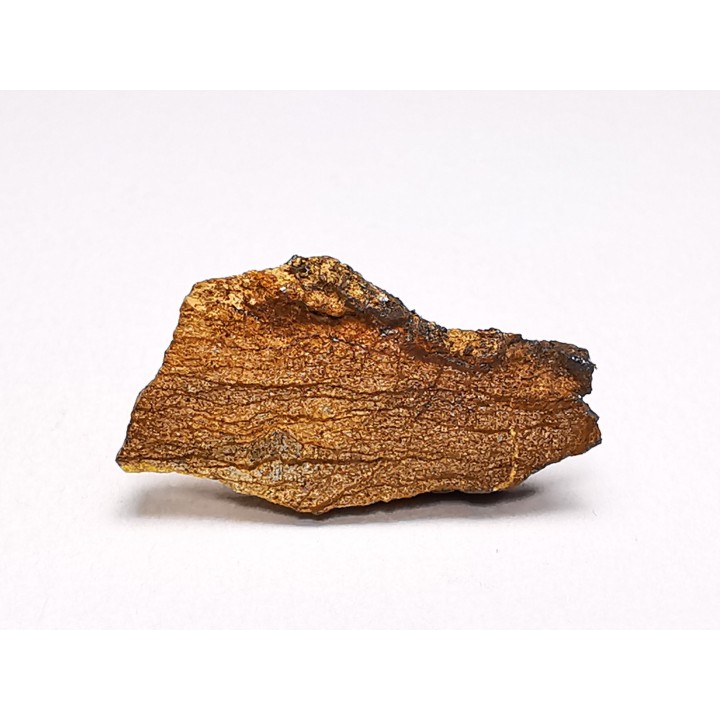 Meteorite Enstatite Chondrite, Al Haggounia, Western Sahara