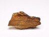 Météorite Chondrite Enstatite, Al Haggounia, Sahara Occidental