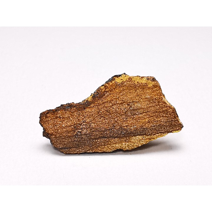 Meteorite Enstatite Chondrite, Al Haggounia, Western Sahara