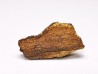 Meteorite Enstatite Chondrite, Al Haggounia, Western Sahara