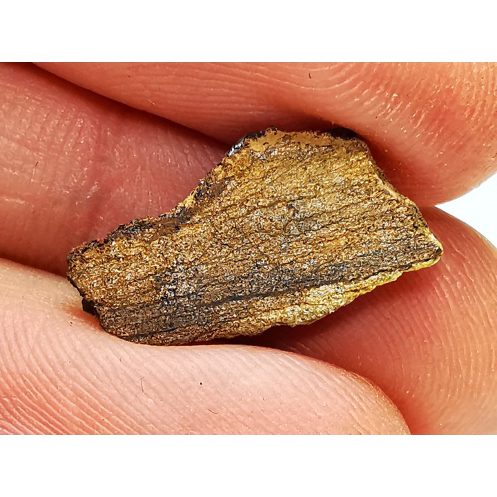 Meteorite Enstatite Chondrite, Al Haggounia, Western Sahara