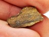 Météorite Chondrite Enstatite, Al Haggounia, Sahara Occidental