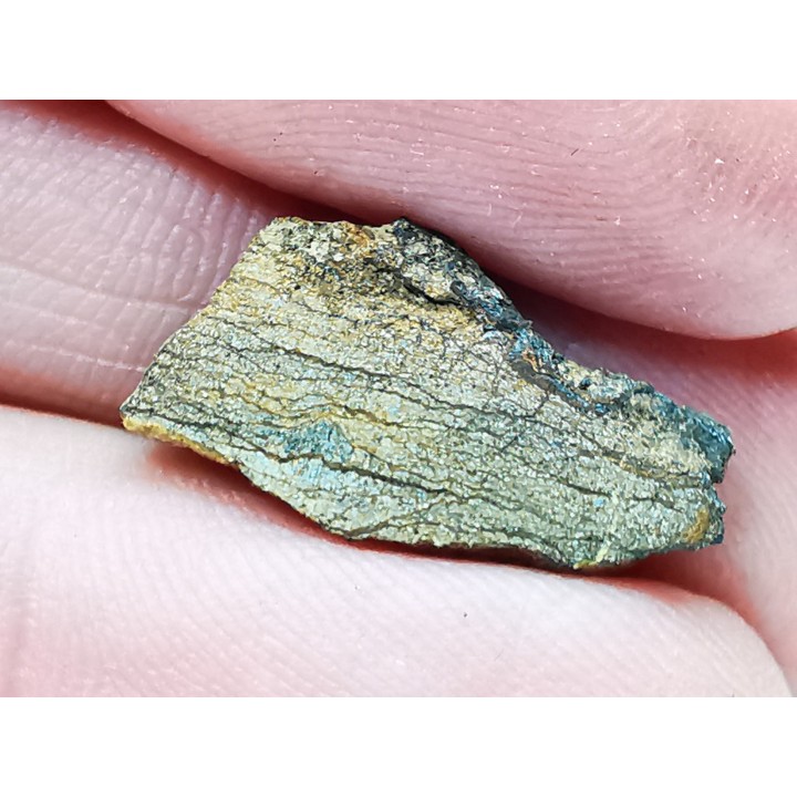 Météorite Chondrite Enstatite, Al Haggounia, Sahara Occidental