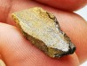 Météorite Chondrite Enstatite, Al Haggounia, Sahara Occidental