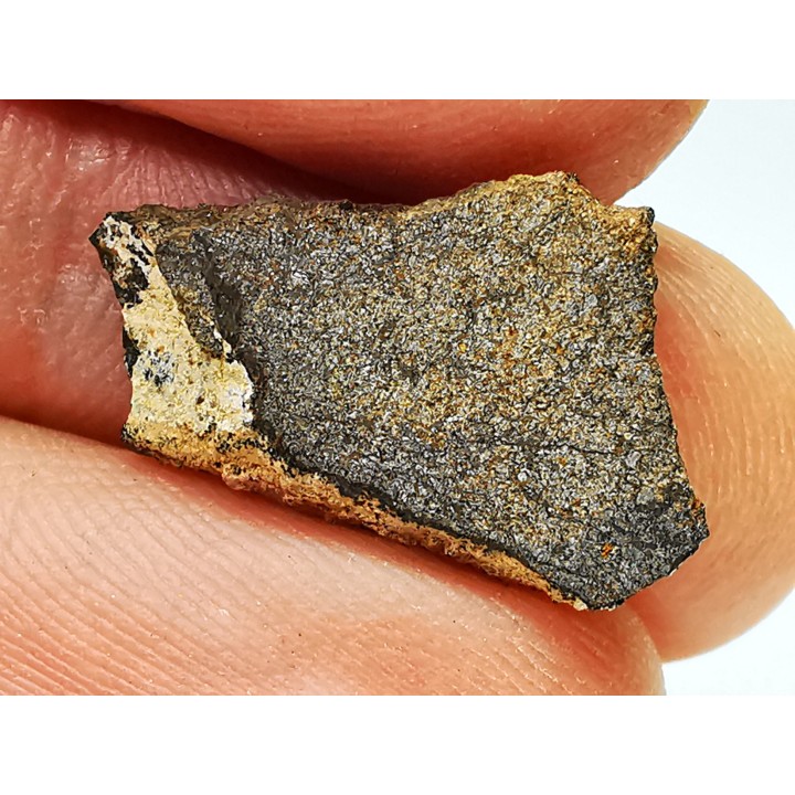 Meteorite Enstatite Chondrite, Al Haggounia, Western Sahara
