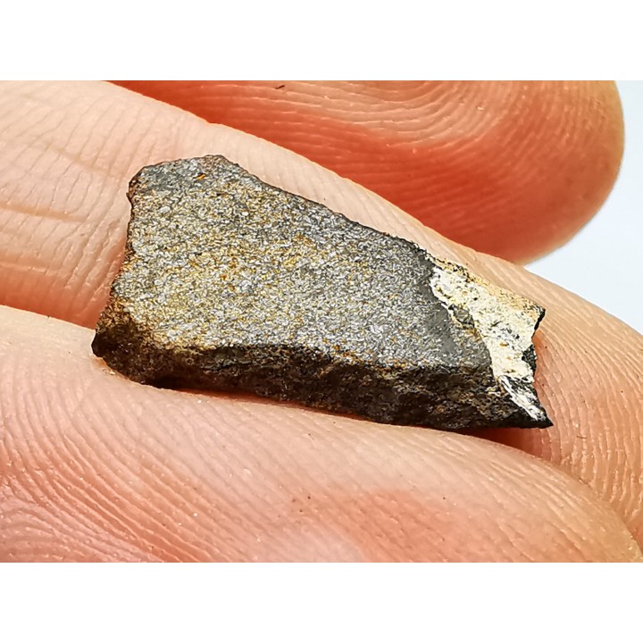 Meteorite Enstatite Chondrite, Al Haggounia, Western Sahara