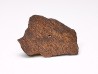 Meteorite Enstatite Chondrite, Al Haggounia, Western Sahara