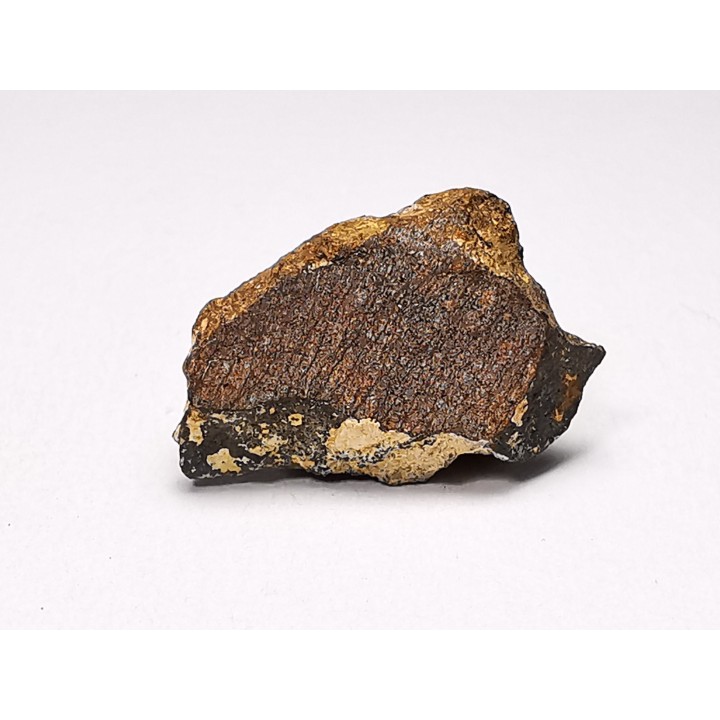 Météorite Chondrite Enstatite, Al Haggounia, Sahara Occidental