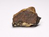 Meteorite Enstatite Chondrite, Al Haggounia, Western Sahara