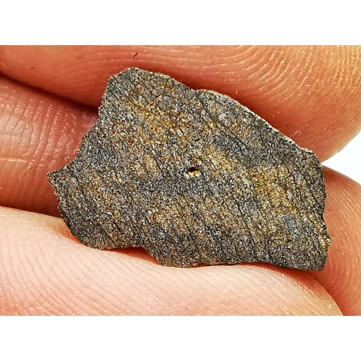Meteorite Enstatite Chondrite, Al Haggounia, Western Sahara