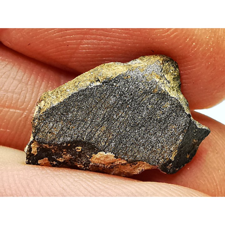Meteorite Enstatite Chondrite, Al Haggounia, Western Sahara