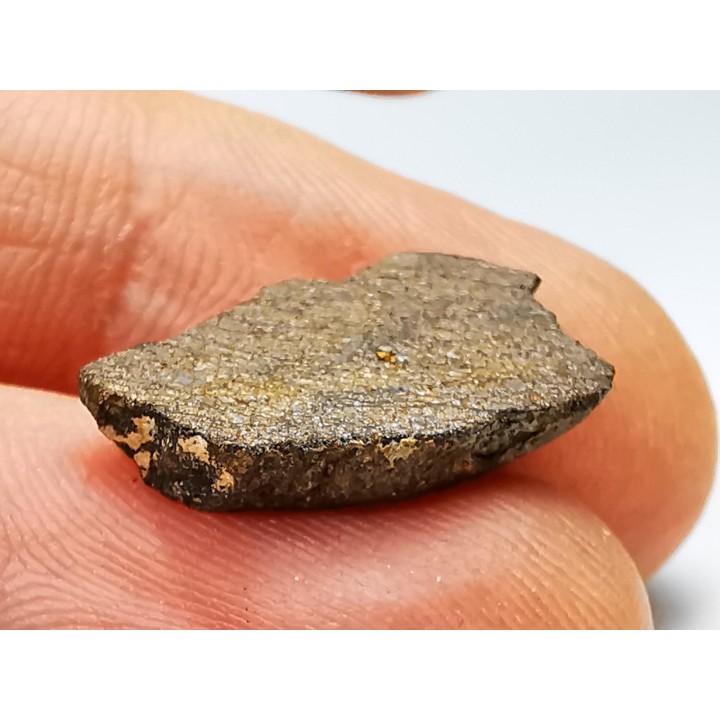 Météorite Chondrite Enstatite, Al Haggounia, Sahara Occidental