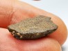 Météorite Chondrite Enstatite, Al Haggounia, Sahara Occidental