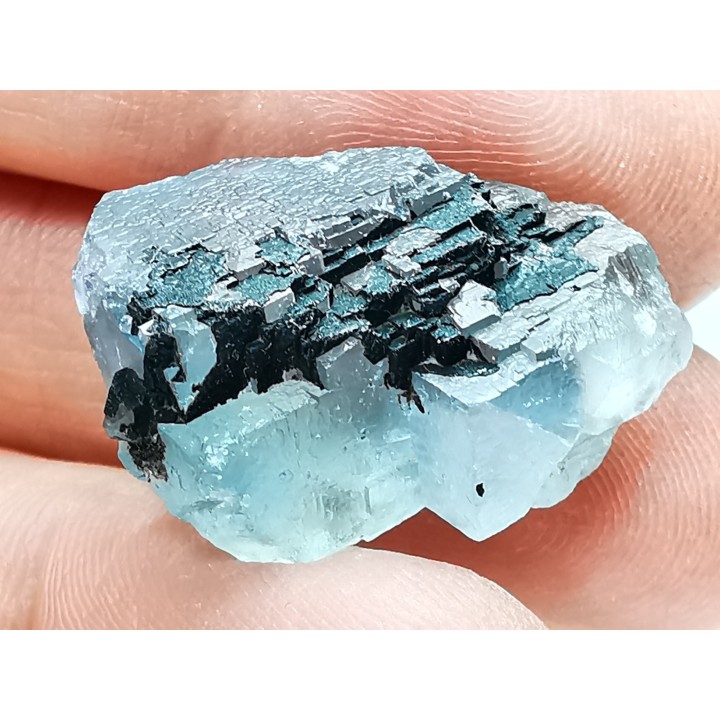 fluorite de Embourgenade (81), France