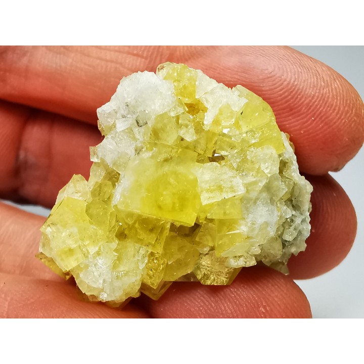 fluorite Cluzel (81), France